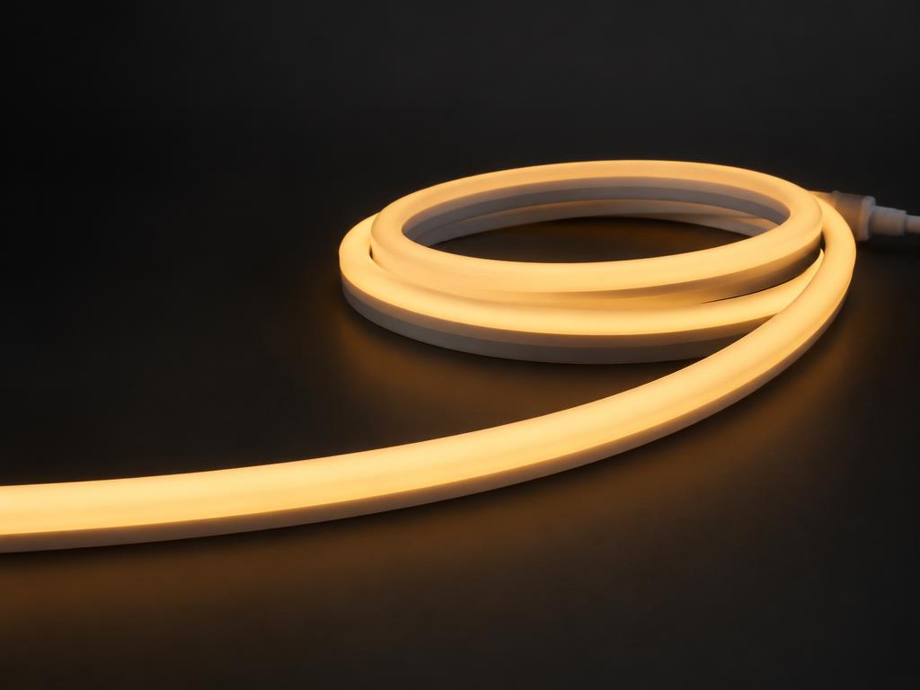 Neon flex — illustrative supplier example
